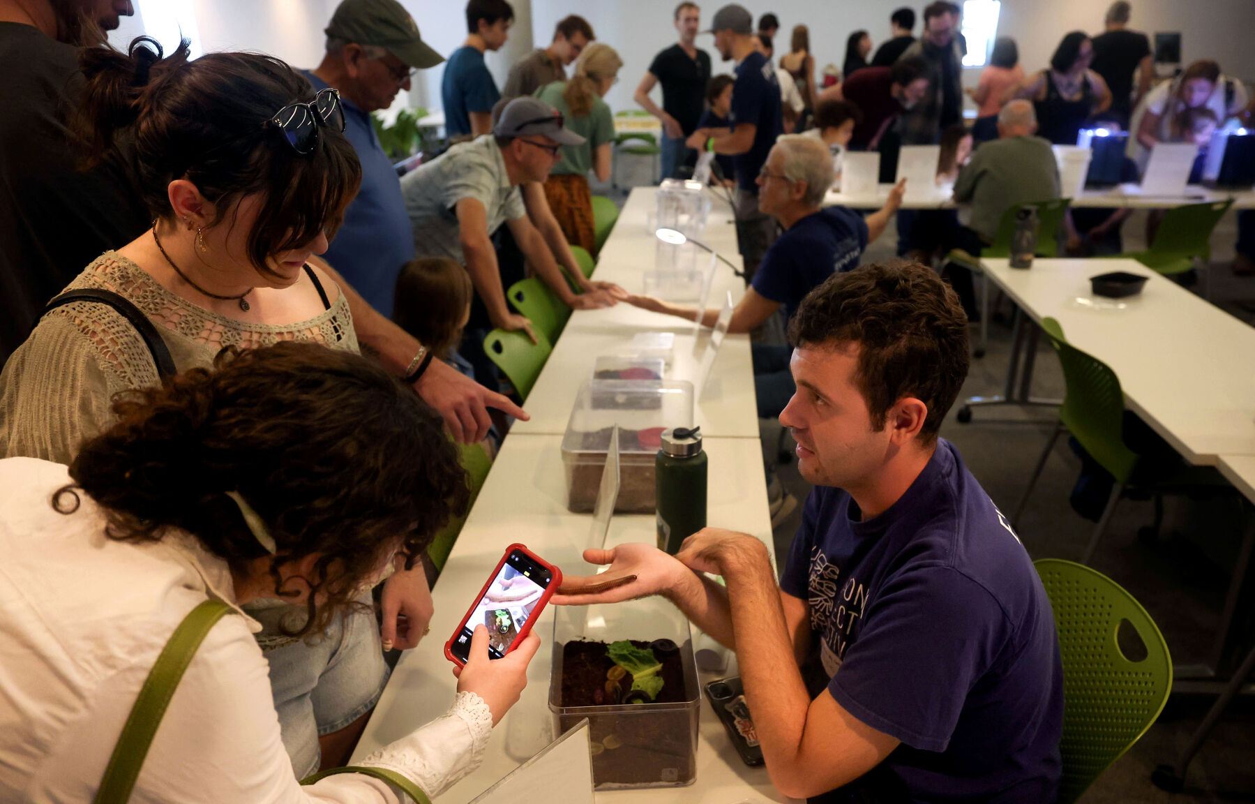 13th annual Arizona Insect Festival